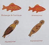 LERNEX 400GR/10.000L